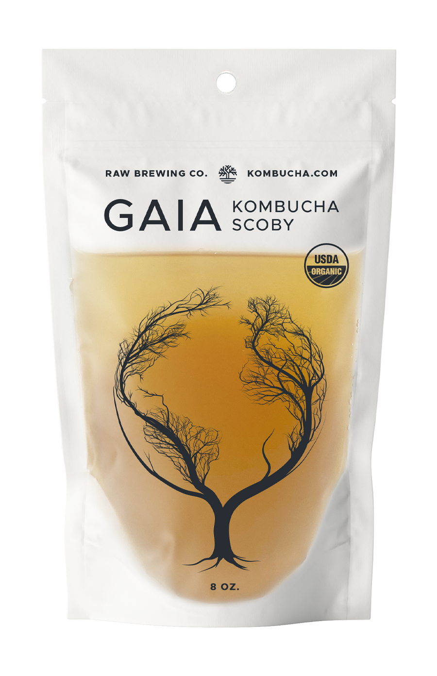 Honey certified organic blended Jun kombucha culture SCOBY starter liquid