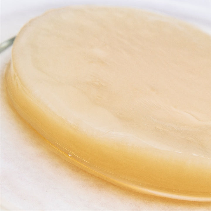 Honey – Blended Jun Kombucha Culture (SCOBY) & Starter Liquid (Certified Organic)