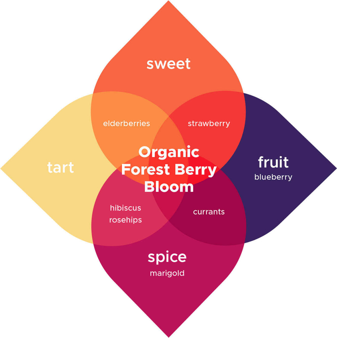 Graphic showing ingredients for forest berry bloom Brew Booster