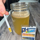 Guide to Using Brewing pH Strips