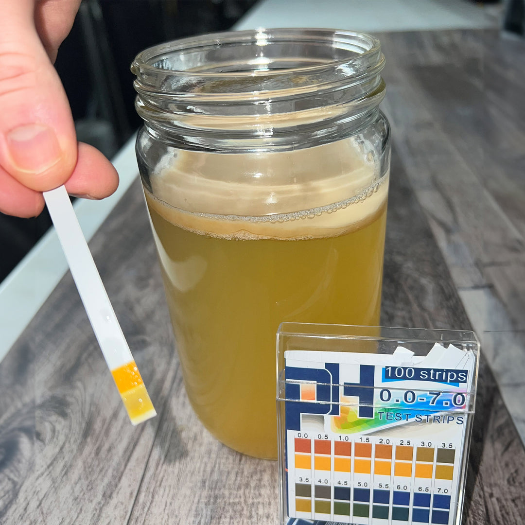 pH Testing Kombucha