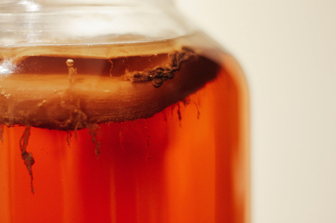 Beneficial Compounds in Kombucha