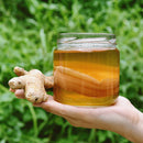 Kombucha & pH