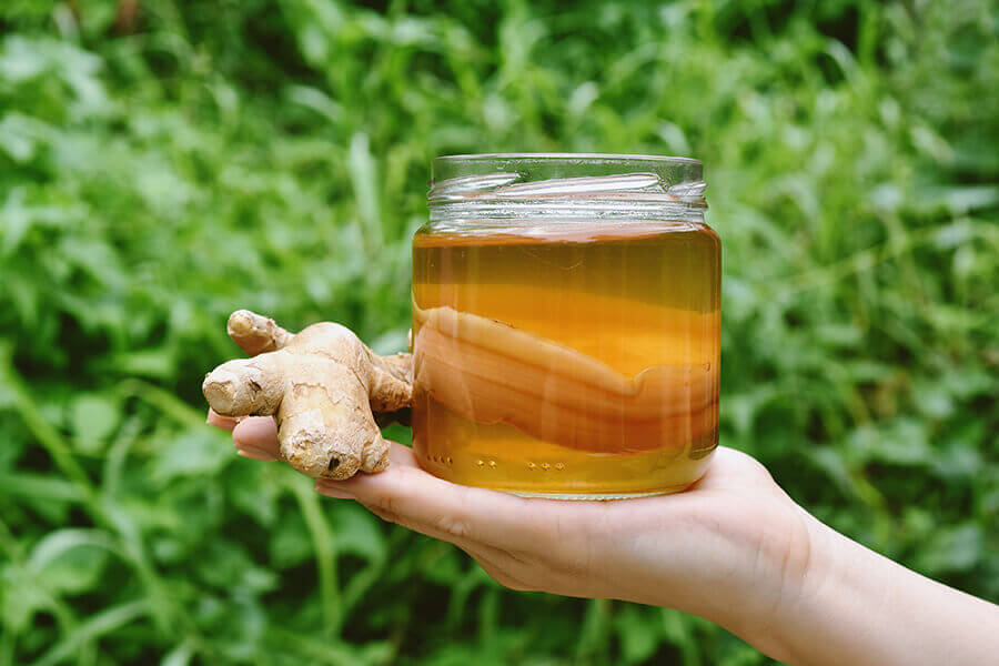 Kombucha & pH