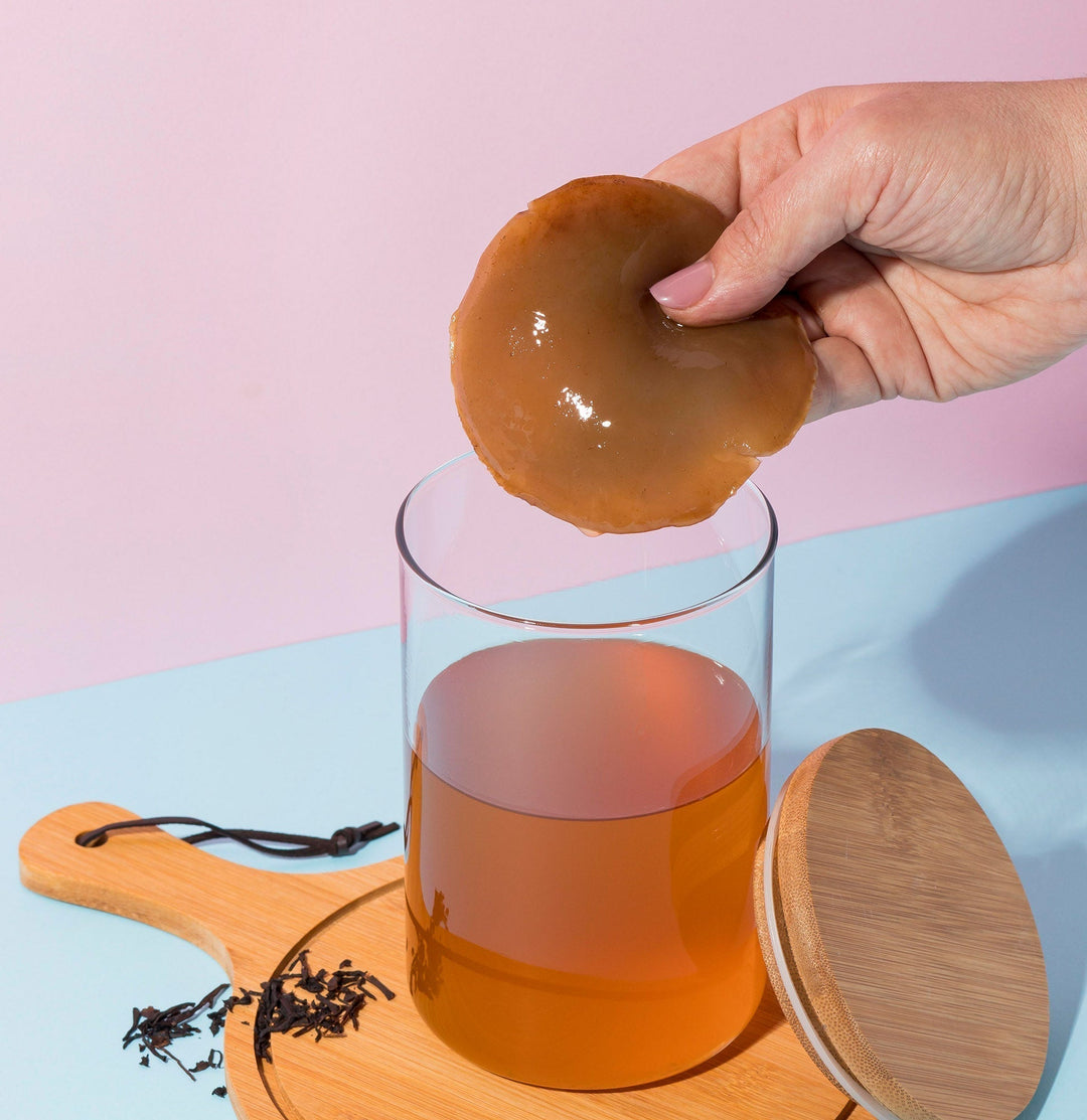 SCOBY vs. Pellicle vs. Mat —  What’s the difference?