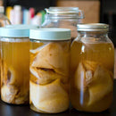 Scoby Hotels, Storage, & Care