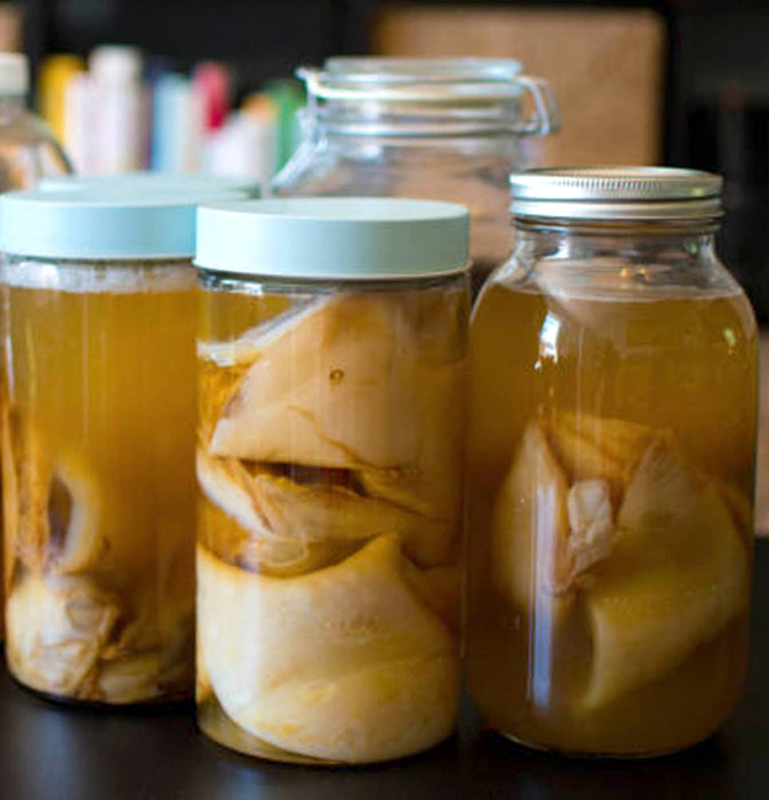 Scoby Hotels, Storage, & Care