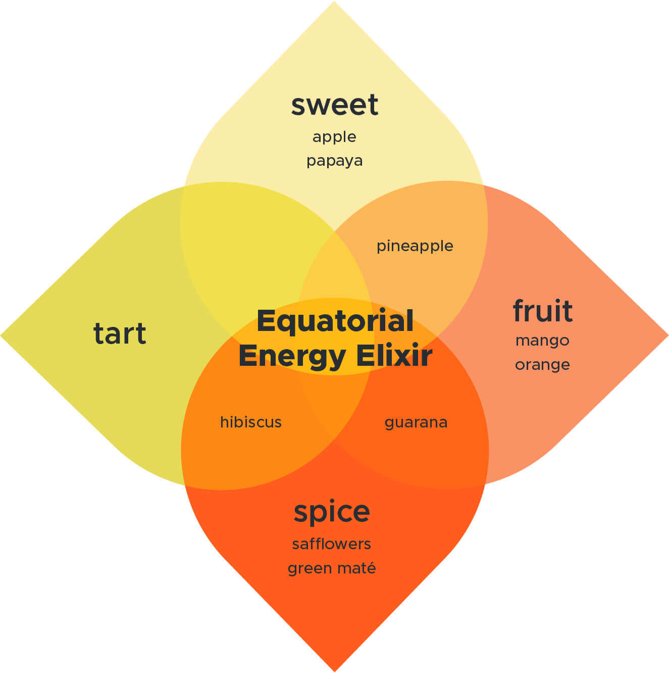 Equatorial Energy Elixir Brew Booster™ Raw Brewing Co.