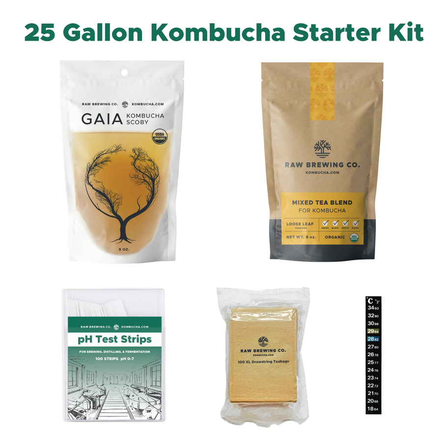 Boo Cha Kombucha Kit | The Basic Booch Brewing Kit